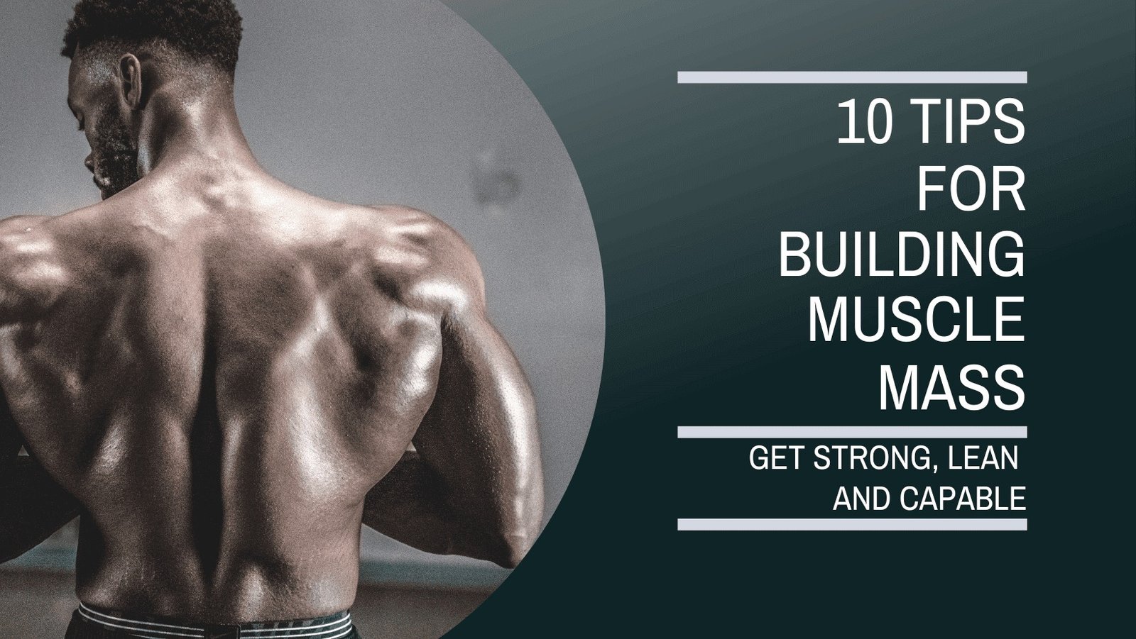 10 Proven Tips for Building Muscle Effectively